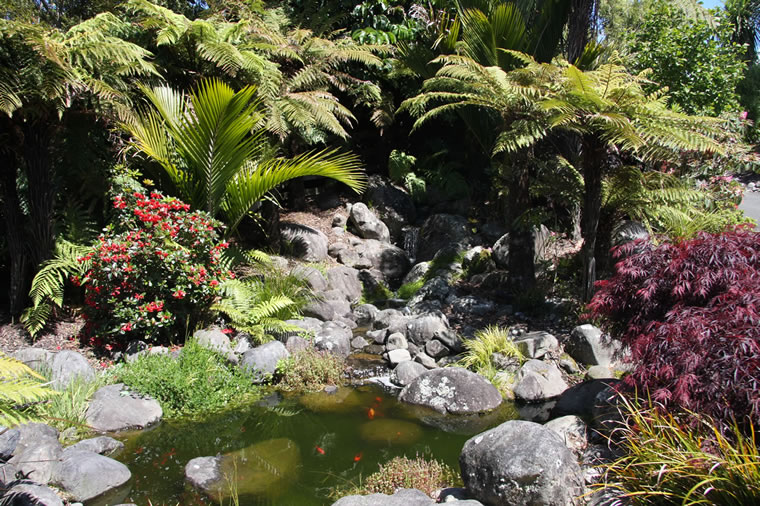 Wild, Native Inspired Water Gardens